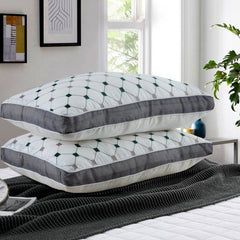 Pack of 2 luxury Decorative pillows - Green & Grey