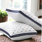 Pack of 2 luxury Decorative pillows